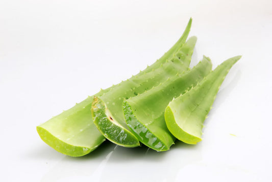 Babosa no Cabelo - Os 5 Benefícios Cientificamente Comprovados da Aloe Vera